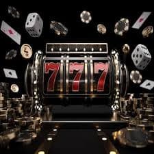 299bed